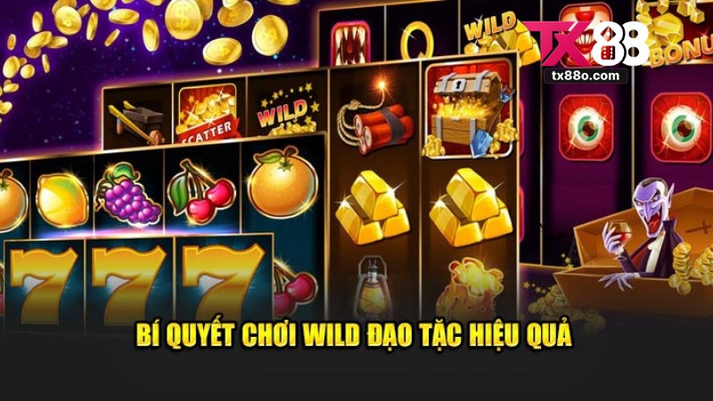 Wild Đạo Tặc